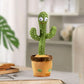 Cactus dansant | SpinCactus ™️