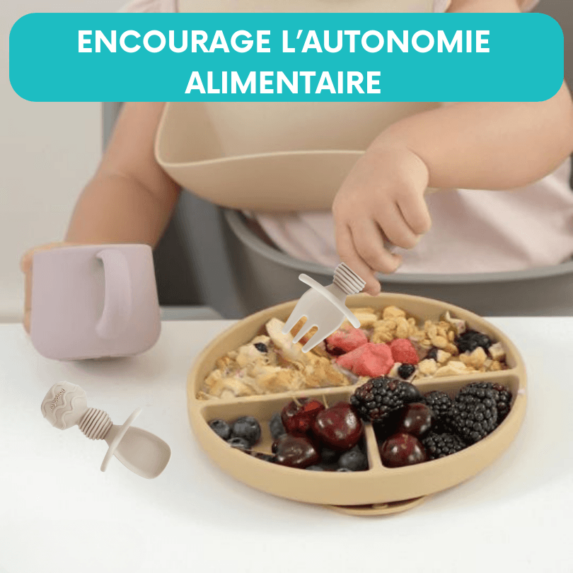 assiette-bebe-ventouse