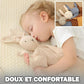 doudou-et-compagnie-lapin 